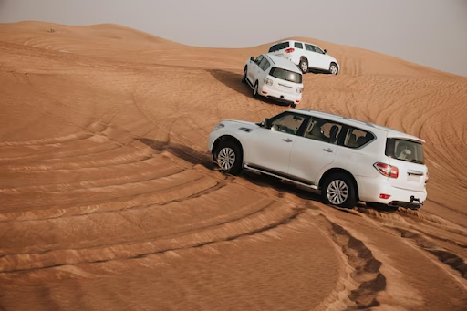 Abu Dhabi safari packages