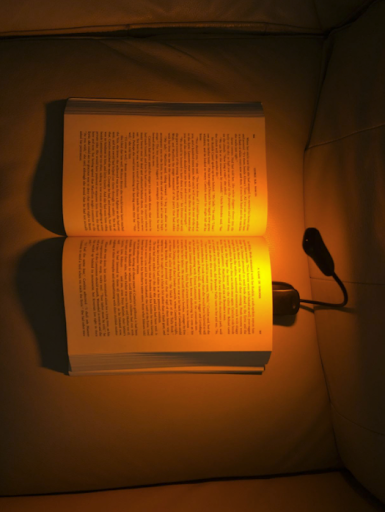 Book Reading Light