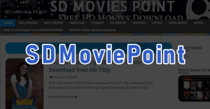 SDMoviesPoint2: Exploring its History, Safety Measures, and Legal Landscape